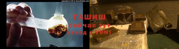 гидра Алексин