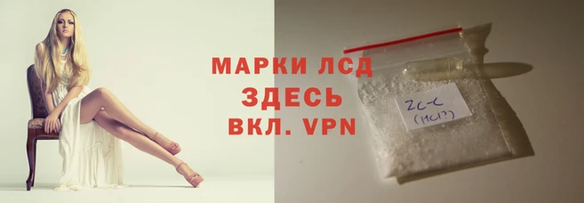 гидра Алексин