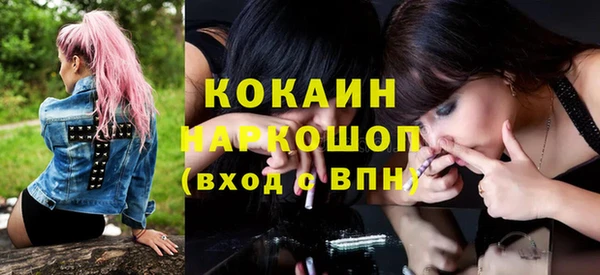 гидра Алексин