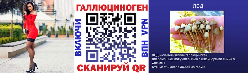 Псилоцибиновые грибы Magic Shrooms Катайск